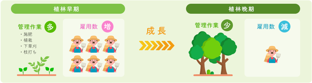 植林の成長に伴う管理作業の変動を示したイラスト