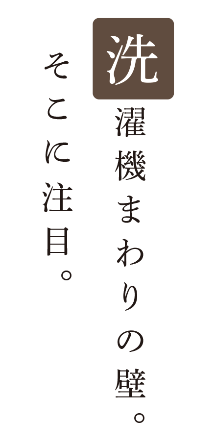 洗濯機まわりの壁。そこに注目。